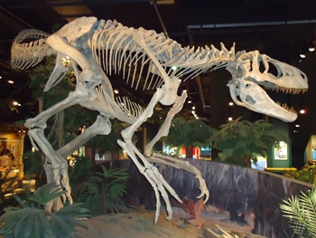 Ferocious Appalachiasaurus display. McWane Science Center, Birmingham, AL.